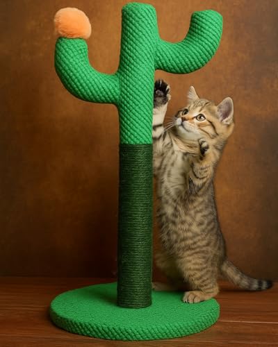 Bdor Cat Cactus Scratch Post with Sisal Rope