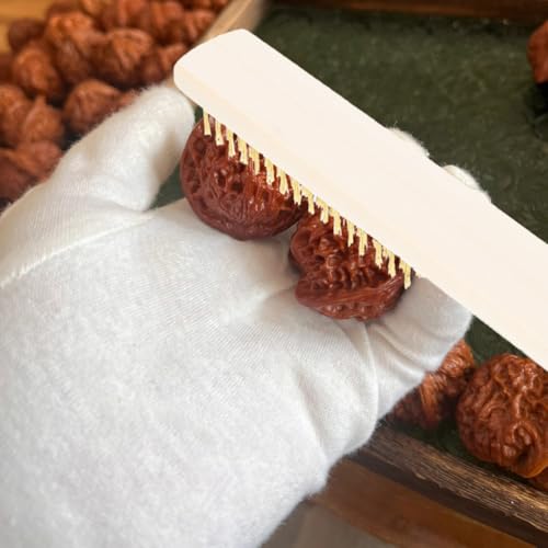 Image of 3Pcs Portable Wire Brushes with Handle Brush for Rust Removal Cleaning and Maintenance Wire for Cleaning Rust and Dirt