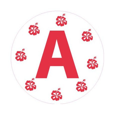 Adesivo francese da auto per guidatori