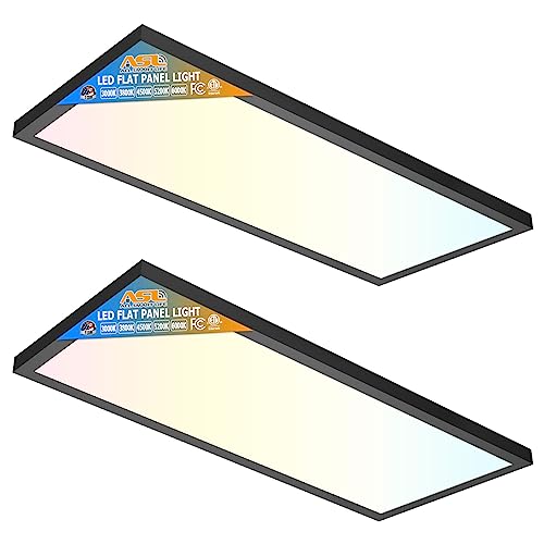 Allsmartlife 1x2 FT LED Flat Panel Light Surface Mount, 24W 2880LM 5CCT 3000K-6000K Dimmable, Ultra Slim Edge-Lit LED Ceiling Light, Flush Mount Fixtures for Kitchen Office, Black 2-Pack