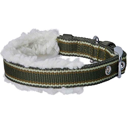 Collier chien polaire rayé olive Blueberry Pet 23-32cm