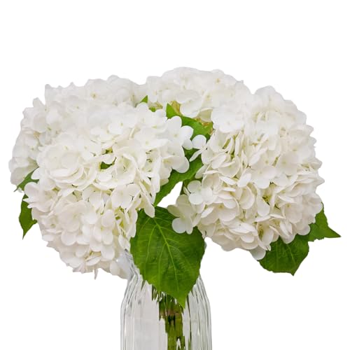 WenXin 4-Packet White Hydrangea Artificial Flowers in Vase Faux Hydrangea Flowers Real Touch Home Bathroom Office Kitchen Dining Room Arrangements End Table Centerpiece Shelf Decorations