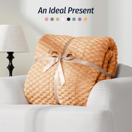 Image of Fleece Weighted Blanket for Adults 60 inch x 80 inch 15lbs Soft Fuzzy Blankets