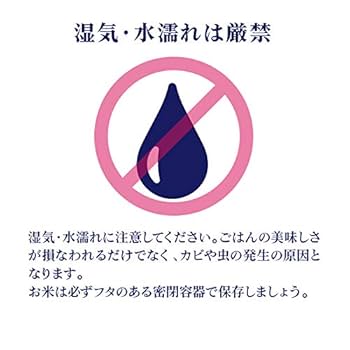 Amazon.co.jp: 米 5kg 無洗米 夢ごこち 京都府丹後産 お米 令和