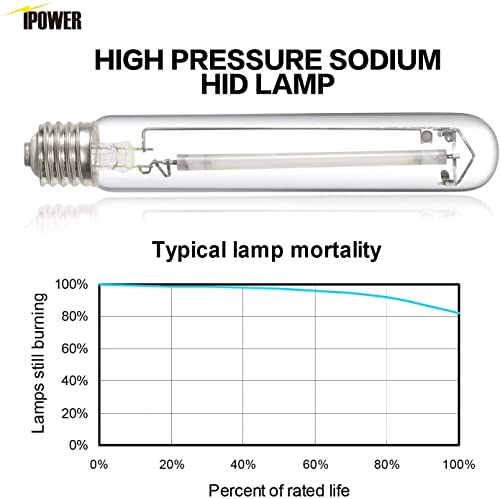 Ipower 600W Hps Grow Light Bulbs, Enhanced Red And Orange Spectrums, High Pressure Sodium Lamps, 85000 Lumens, Cct 2100K For Plants Blooming And Fruiting, 6 Pack #TOP2