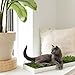 KittyLawn,Cat Real Grass Lounge Perch, Window Perch, Premium Cat Window Seat, Cat Window Seat Bed