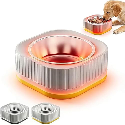 Dog Feeding