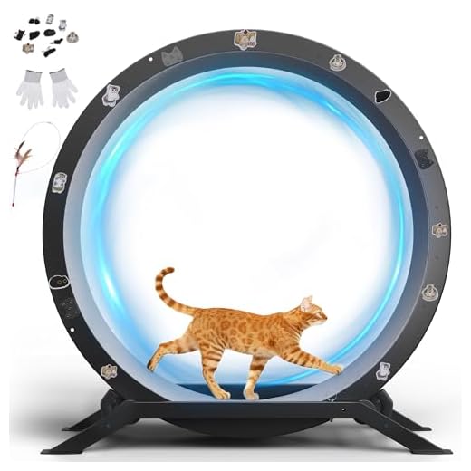 GTPLAYER Katzenlaufrad für aktive Katzen
