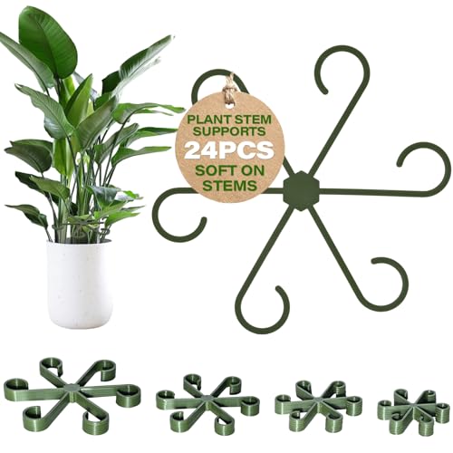 GLCSC 24PCS Forest Green Plant Stem Support Invisible Stem Supports for Indoor Plants Monstera Plant Support for Healthy Growth 4 Sizes Climbing Houseplant Holders Reusable Plant Accessories