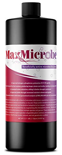 Max Microbe Beneficial Active Microbes for Plants 32 oz/Quart