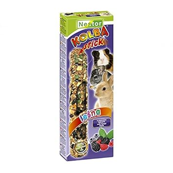 Nestor Classic Stick for Rodents and Rabbits with Forest Fruits ( Pack of 5 ,115 gm)