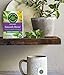 Traditional Medicinals Organic Smooth Move Senna Peppermint Herbal Tea, Relieves Occasional Constipation, (Pack of 3) 48 Tea Bags Total