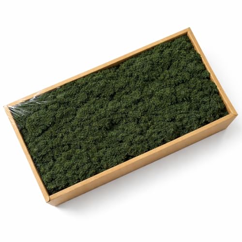 �V�K������ �v���U�[�u�h�g�i�J�C���X�A500.1 g �i�`�������f�R���[�V���� �z�[���f�R���[�V�����ADIY�N���t�g�A���X�E�H�[���A�[�g�A�e�����E���A�t�����[�A�����W�����g�A�E�F�f�B���O&�z���f�[�f�R���[�V����(���݂��������O���[��)