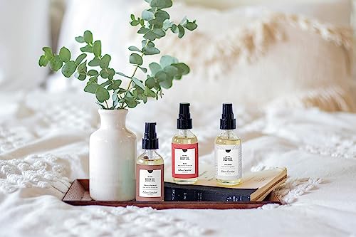 Edens Garden Xoxo Aromatherapy Body Oil (Made With Pure Essential Oils & Vitamin E- Great For Massage & Daily Skin Care), 2 Oz #TOP1