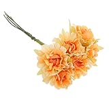 Perfecta para la decoración de fiesta de la boda, la decoración de su hogar y el jardín, oficina, casa de café y así sucesivamente.