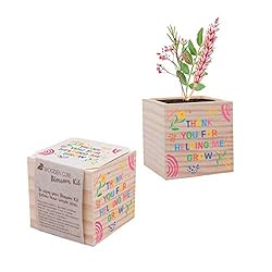 Cheersville Plant Cube Appreciation Gift - Wildflower Seed Packet, Peat