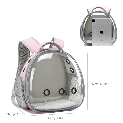 UOOPET Mochila de Transporte de Dragão Barbudo com Conjunto de Arreios E Guia, Mochila de Transporte