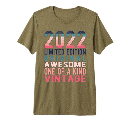 Limited Edition Awesome Original Vintage 2022 Retro Birthday Premium T-Shirt