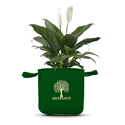 Image of GREENSHEEP Geo Fabric Grow Bags for Terrace Gardening, Balcony, Vegetables, Plants, Fruits and Flower with Handles - Breathable and Reusable Plant Bags for Indoor (Green) (Pack of 3) (Size-6x6)