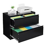 WIILAYOK Lateral File Cabinet with Lock,2 Drawer File Cabinet for Home and Office, Organizer Storage