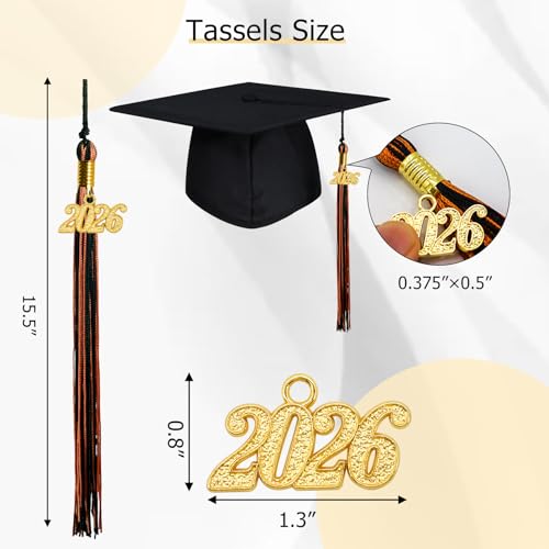 Image of GraduationMall Single&Multiple Color Graduation Tassel with 2026 Year Charm 9 inch