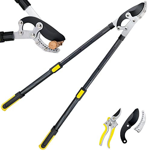 Top 5 Heavy Duty Loppers for Effortless Pruning Extendable and