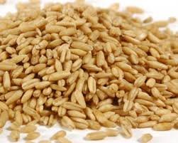 BULK GRAINS Oat Groat Whole, 50 Pound