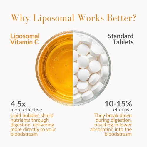 Vida Lifescience 4648179 Liquid Vitamin C
