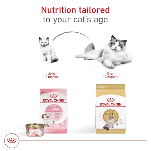Royal Canin Feline Breed Nutrition Ragdoll Adult Dry Cat Food, 7 lb Bag