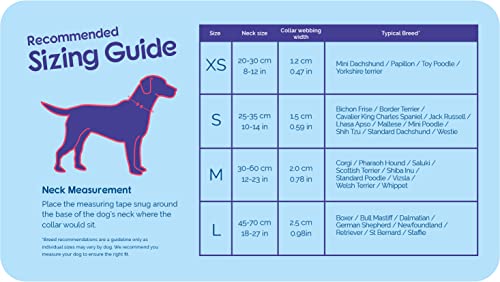 HALTI Collar, Size Large, Red, Best Comfy Dog Collar, Premium Puppy Collar, Nylon, Neoprene-Padded, Reflective, Easy to Fit & Use, For Small, Medium & Large Dogs - Image 5