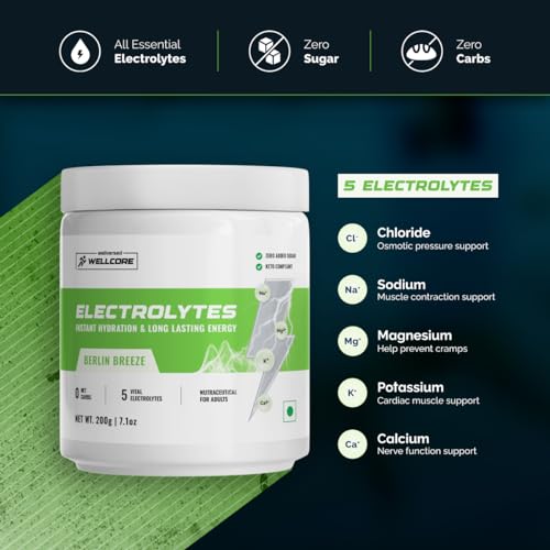 Image of Wellcore Electrolyte Powder (40 Servings, Berlin Breeze)