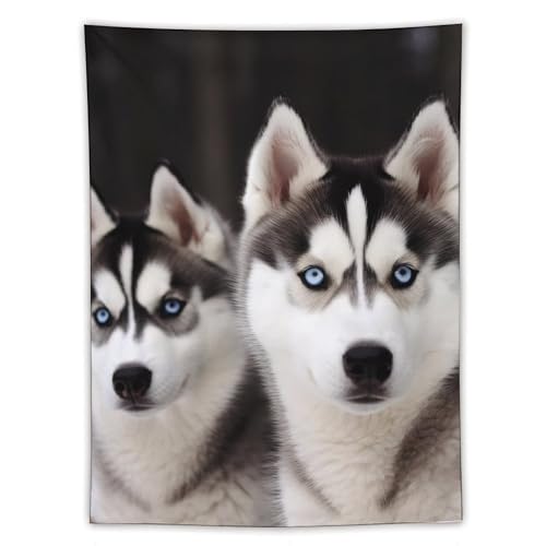 Tapisserie murale Husky pour cacher un mur vide et decorer un studio etudiant