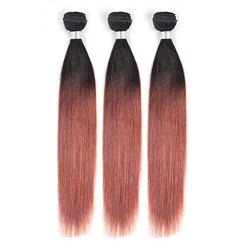 Tony Beauty Hair Black To Dark Auburn Ombre Peruvian Human Hair Bundles With Closure Straight #1B/33 Copper Red Ombre 3 Bundles With 4X4 Lace Closure Ombre Reddish Brown Weave Wefts (14 16 18+12) #TOP4