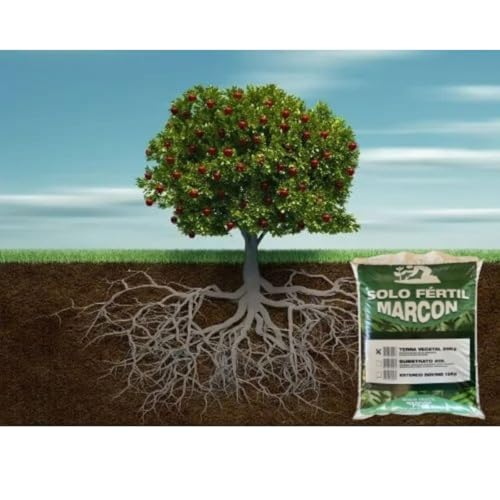 Terra Vegetal 20kg Orgânica Para Plantas Jardins Horta E Vasos