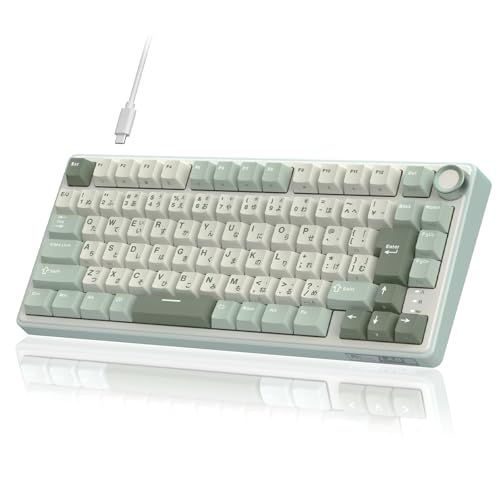 【Amazon.co.jp限定】RK ROYAL KLUDGE R75 メカニカルキーボード...
