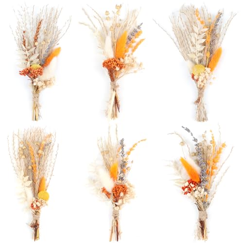 6PCS Mini Boho Dried Flower Bouquet Fall Decor Autumn Decorations Mini Natural Real Plants for Wedding Table Centerpieces Gift Box Cake Bottle Decor Home Vase Decorations DIY Craft