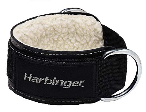 Padded Ankle Cuff Double Ring Attachment | by Harbinger | Size 3-Inch