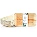 Wiseware Palmblatt Teller - 200 Stück Einwegteller rechteckig 23 x 16 cm - biologisch abbaubares Palmblattgeschirr - kompostierbares Partygeschirr - Bio Einweggeschirr
