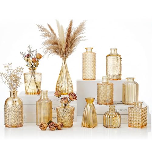 12 Pcs Clear Bud Vases Set Small Vintage Glass Clear Bud Flower Vases Bulk Multiple Shape Cute Mini Glass Bottles Vases for Rustic Wedding Centerpieces Table Decorations and Home Decor (12 Gold)