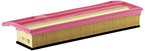 Mann Filter C 3877/1 -  Filtro Aria