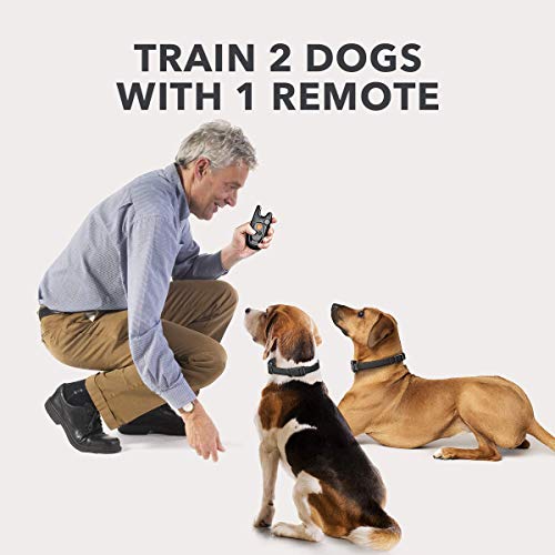 DOG CARE Dog Training Collar with Remote - Rechargeable Training Collar for Small Medium Large Dogs with Beep, Vibration, and Shock Training Modes, Rainproof E-Collar with Security Lock