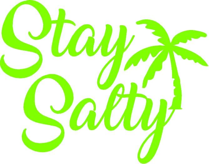 5.5 x 4.25" Stay Salty Vinyl Decal Beach Ocean Fun Bumper Sticker, Windows, Cars, Trucks, laptops, etc