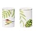 Produktbild Villeroy & Boch 10-4381-3490 Amazonia Anmut Salz und Pfeffer-Set, Porzellan, 2-teilig