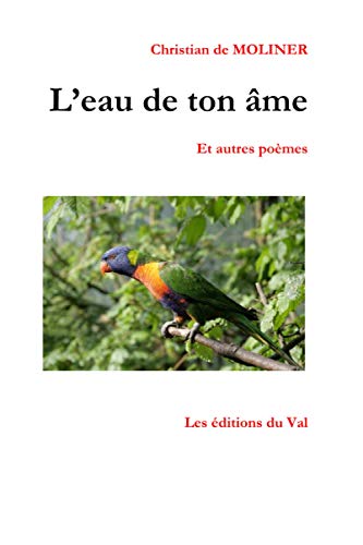 L'eau de ton âme: Les éditions du Val (French Edition)
