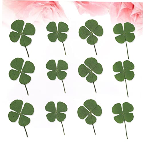 Kit de joyería artesanal con 12 plantas secas de cuatro hojas miniatura 7