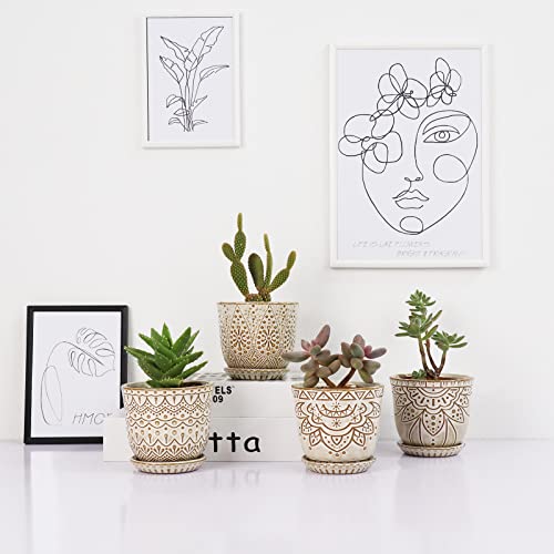 Pots de fleurs anti pourrissement racines succulentes Gepege - 6