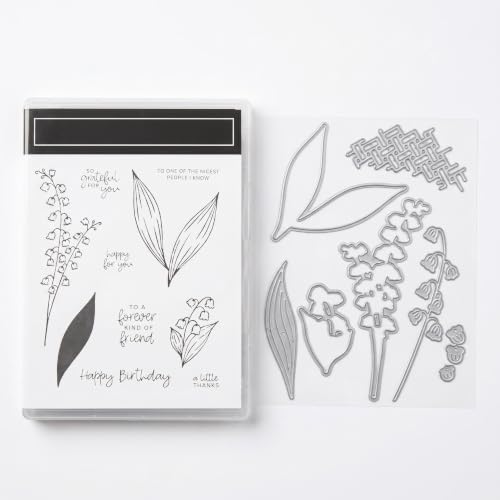 Silikonstempel und Stanzschablonen Set 2-in-1 2026 Neuheiten Transparente Stempel für DIY Scrapbooking Prägestempel und Stanzen für Grußkarten Bastelset für Kartenherstellung