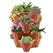Price comparison product image GEEZY Set of 4 Stackable Strawberry Planter  Terracotta Brown, Tiered Planters for Outdoor Vertical Gardening, Space-Saving Durable Pots for Gardens, Patios, Balconies  Ideal for Herbs & Plants