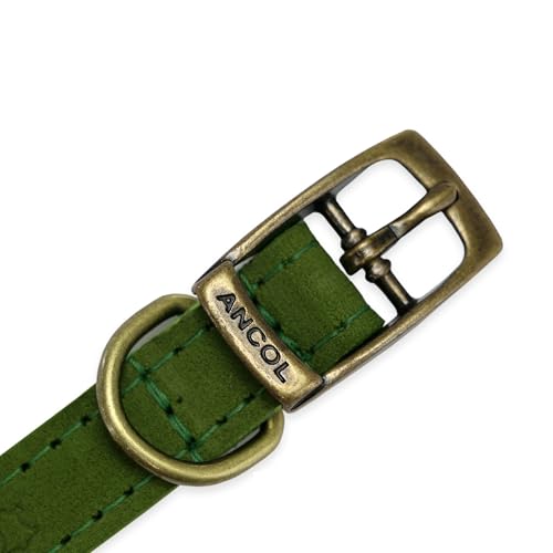 Ancol Hundehalsband aus grünem Leder für Hunde und Welpen, hochwertiges genarbtes Zaumzeug, Haustier-Trainingshalsband, handgefertigt in Großbritannien, langlebiges und geschmeidiges Design, Größe 26