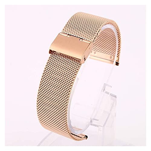 Bracelet de montre en acier de qualité supérieure maillons universels